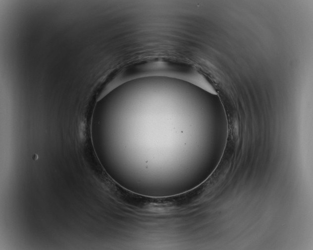 X0000093260556200710101501