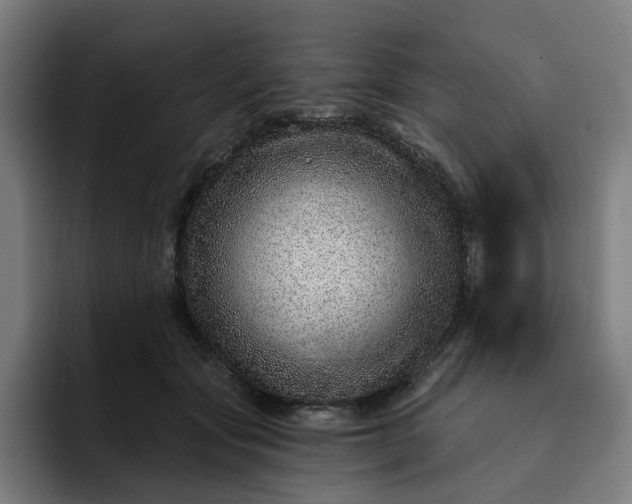 X0000093260557200710101501