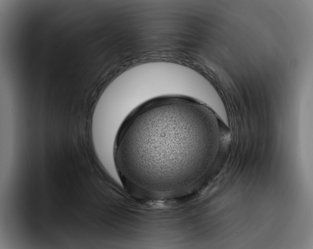 X0000093260558200710101501