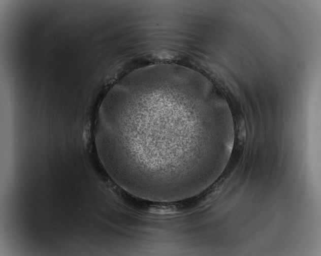 X0000093260559200710101501