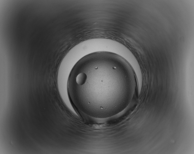 X0000093260560200710101501