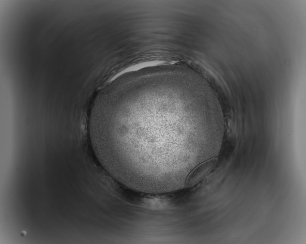 X0000093260561200710101501