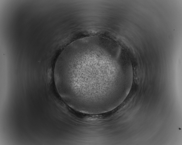 X0000093260563200710101501