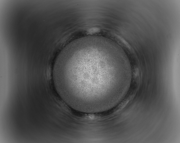 X0000093260565200710101501