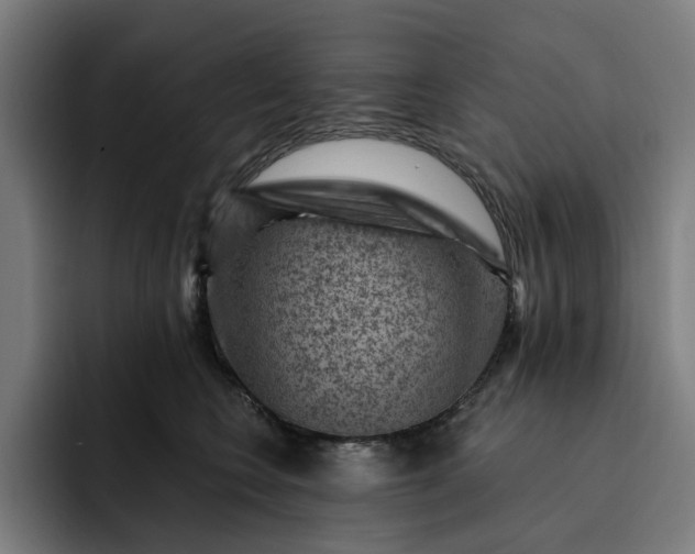 X0000093260566200710101501