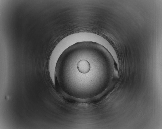 X0000093260572200710101501