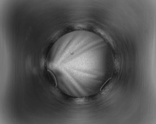 X0000093260574200710101501