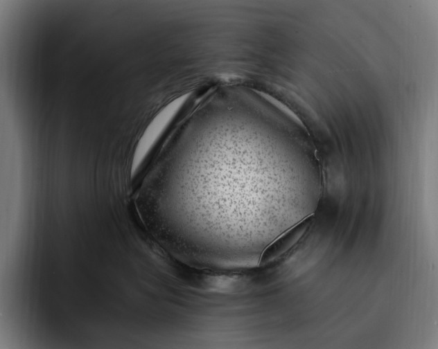 X0000093260575200710101501