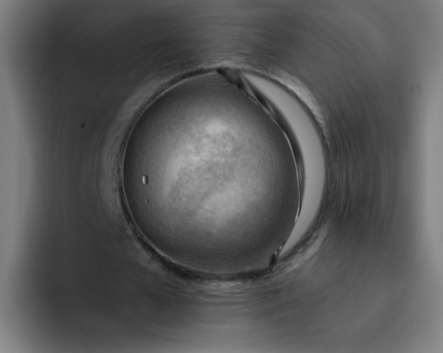 X0000093260577200710101500