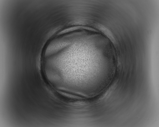 X0000093260578200710101500