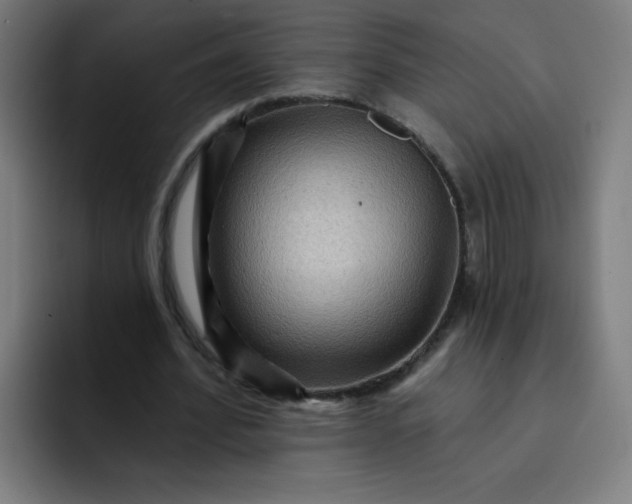 X0000093260580200710101500