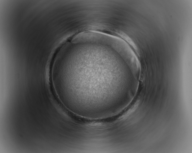 X0000093260581200710101500