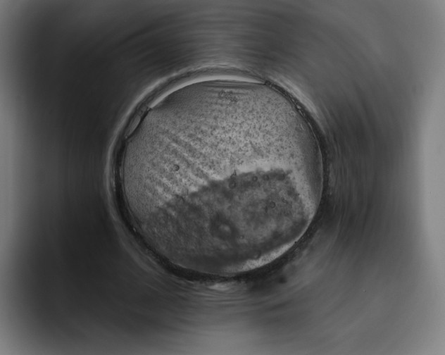 X0000093260584200710101500