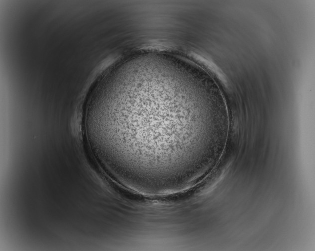 X0000093260585200710101500