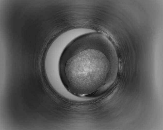 X0000093260589200710101500