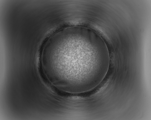 X0000093260590200710101500