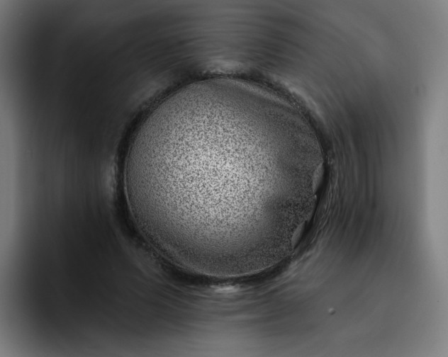 X0000093260591200710101500