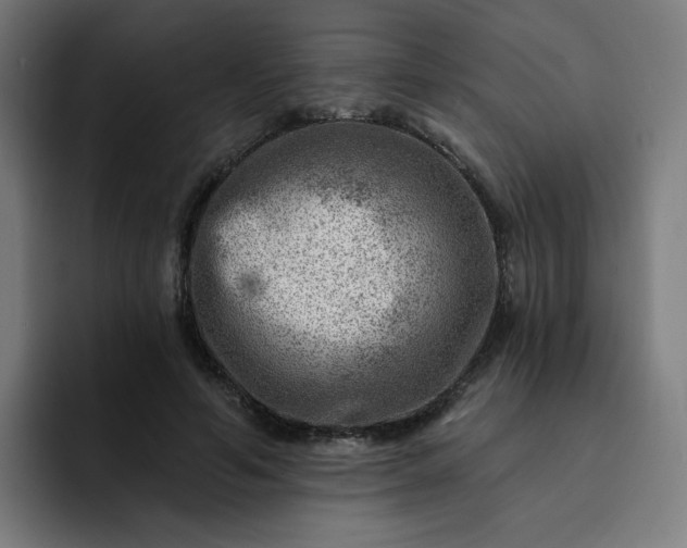 X0000093260594200710101500