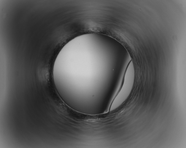 X0000093260595200710101500