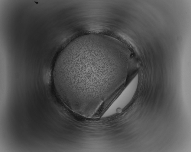 X0000093260596200710101500