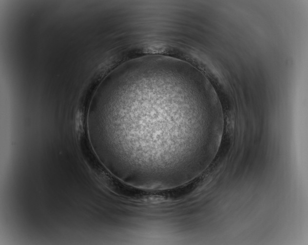 X0000093260598200710101500