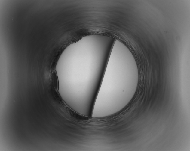 X0000093260601200710101500