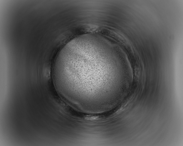 X0000093260602200710101500