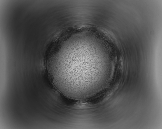 X0000093260607200710101500