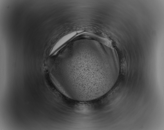 X0000093260608200710101500