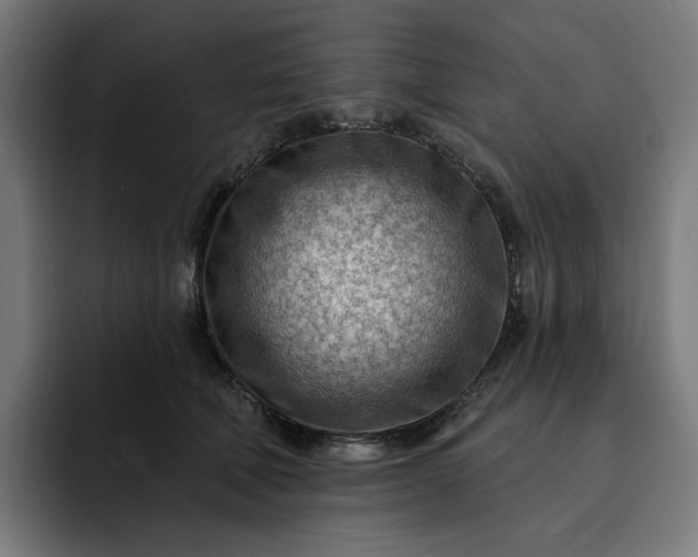 X0000093260610200710101500