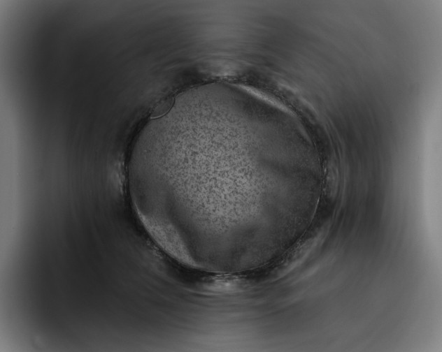 X0000093260612200710101500