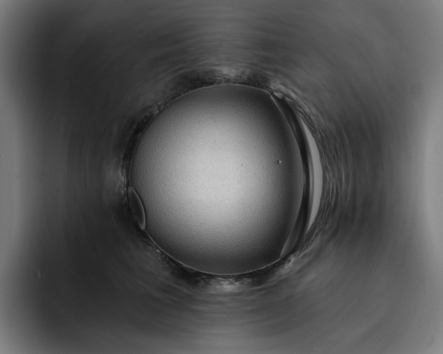 X0000093260613200710101500