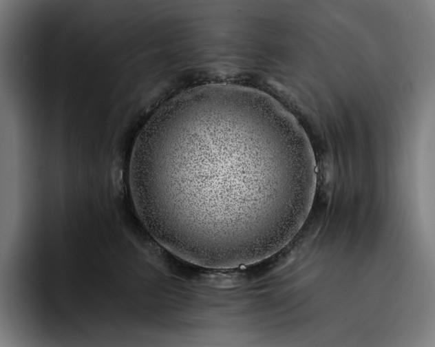 X0000093260615200710101500