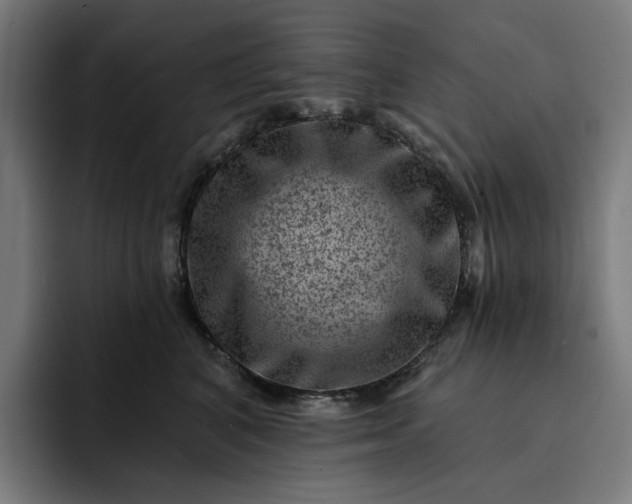 X0000093260616200710101500