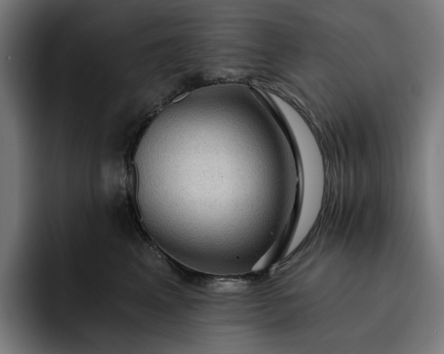 X0000093260617200710101500