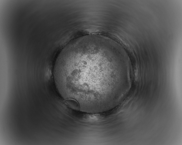 X0000093260618200710101500