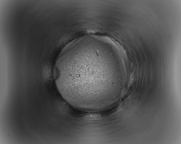 X0000093260619200710101500