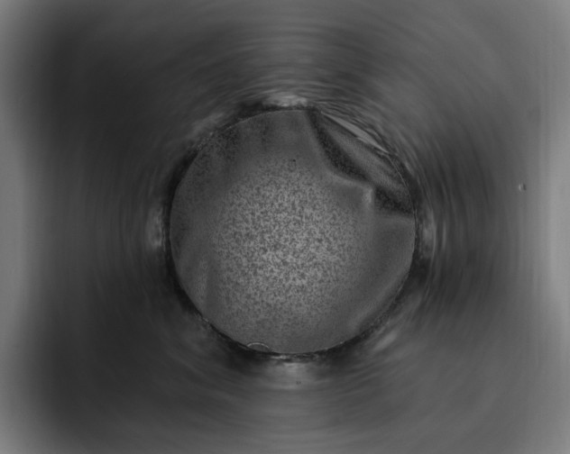 X0000093260620200710101500