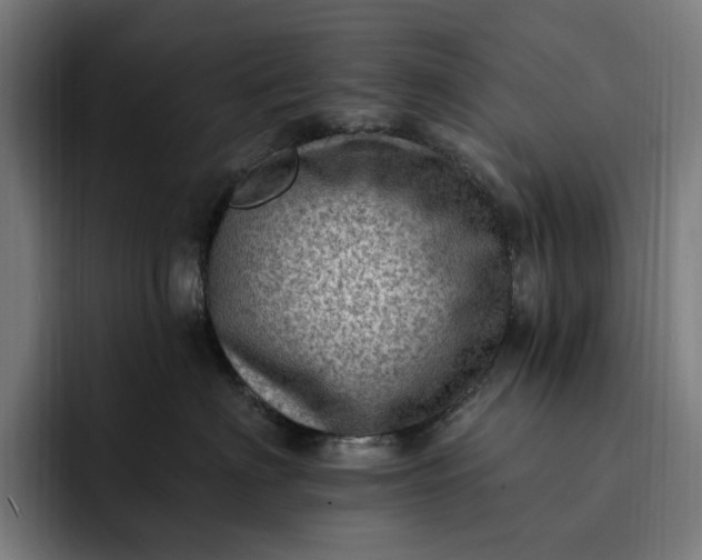 X0000093260622200710101500