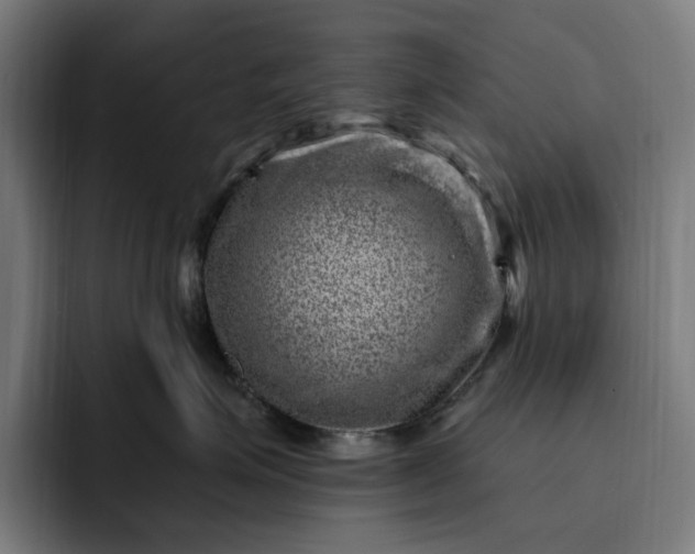 X0000093260623200710101500