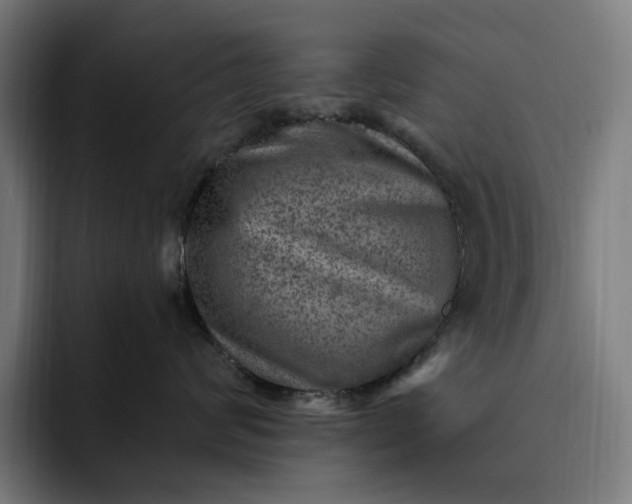 X0000093260624200710101500