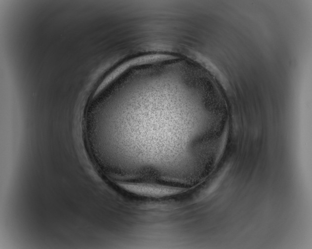 X0000093260625200710101459