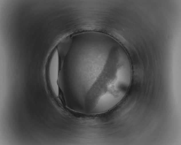 X0000093260626200710101459