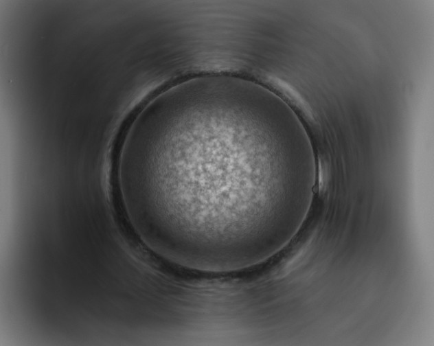 X0000093260627200710101459