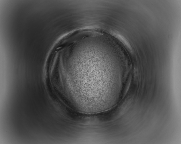 X0000093260628200710101459