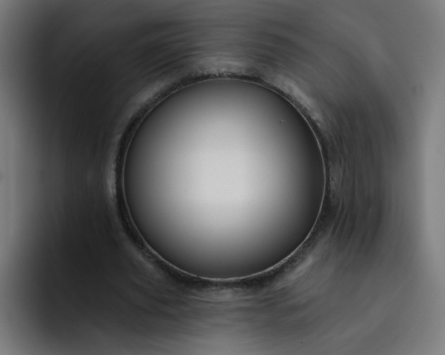 X0000093260629200710101459