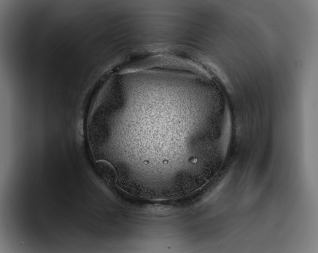 X0000093260633200710101459