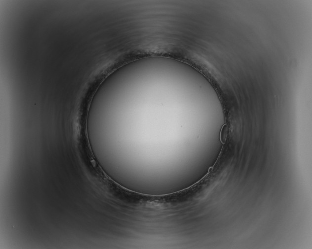 X0000093260635200710101459