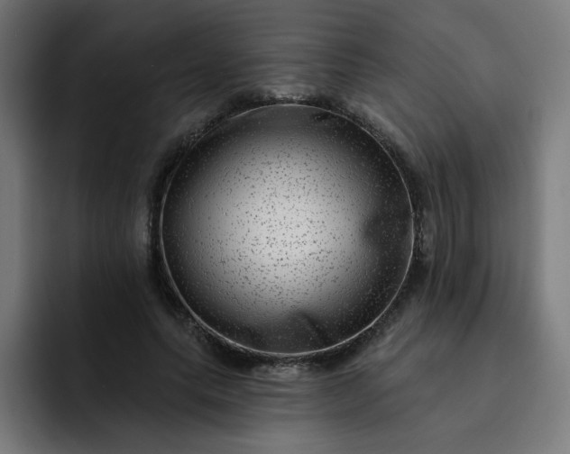 X0000093260639200710101459