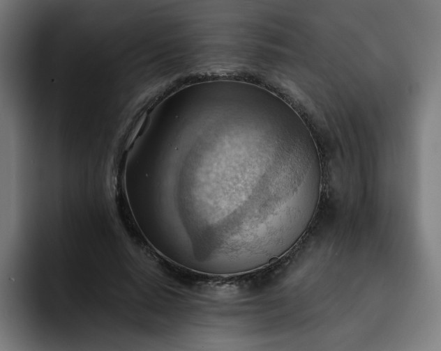 X0000093260640200710101459